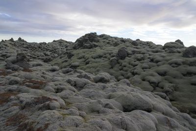 _Z912935.jpg