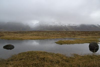 _Z913052.jpg