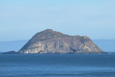 _Z810742.jpg