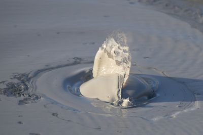 _Z811009.jpg