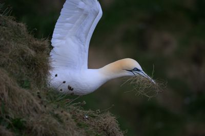 _Z812191.jpg