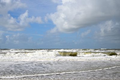 _Z811009.jpg