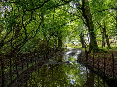 Damp underfoot, Lochbuie (7/6/2024)