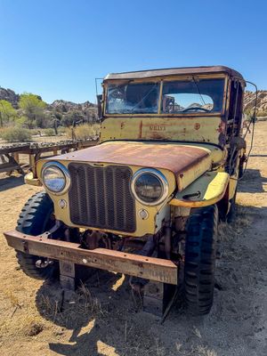 Old Jeep, Keys Ranch (4/10/2025)