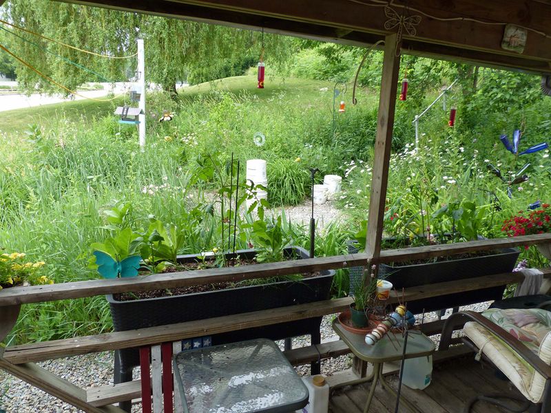 12 Jun Garden boxes 1 and 2