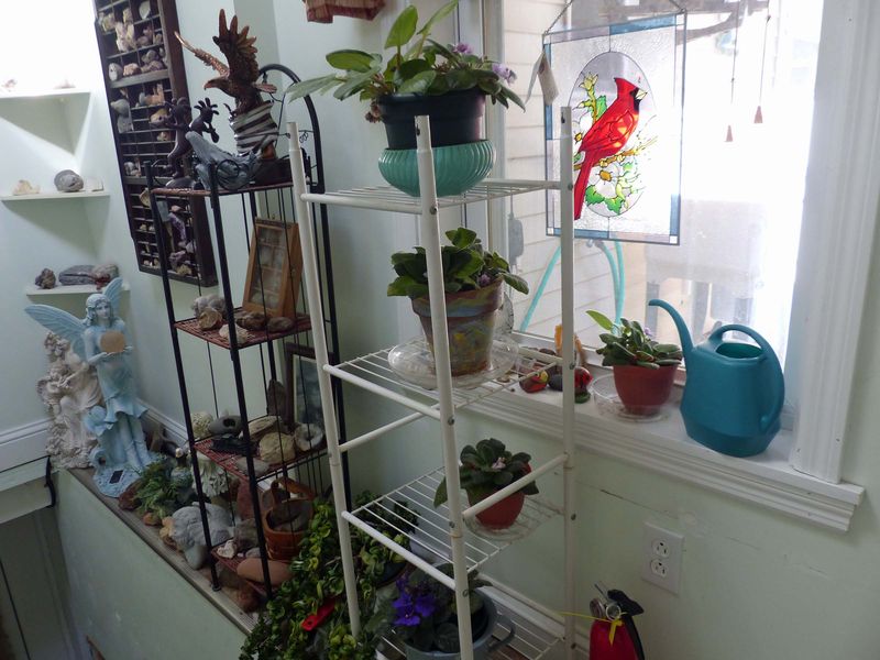 17 Oct Violet shelves 
