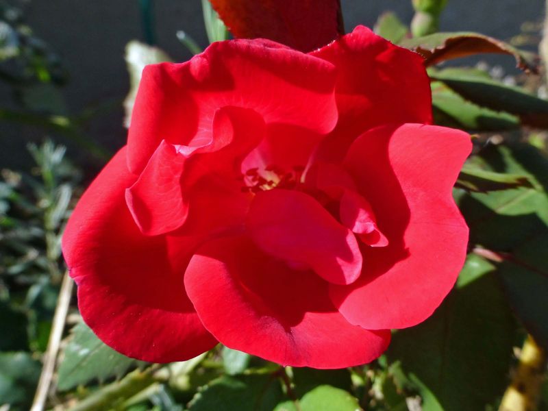 9 Oct Some color at The Headquarters