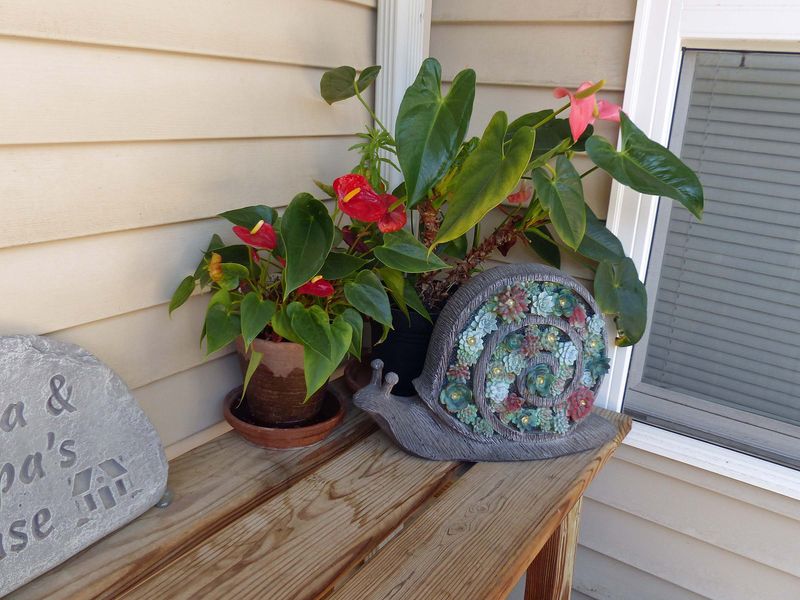 6 Jul The patio package table