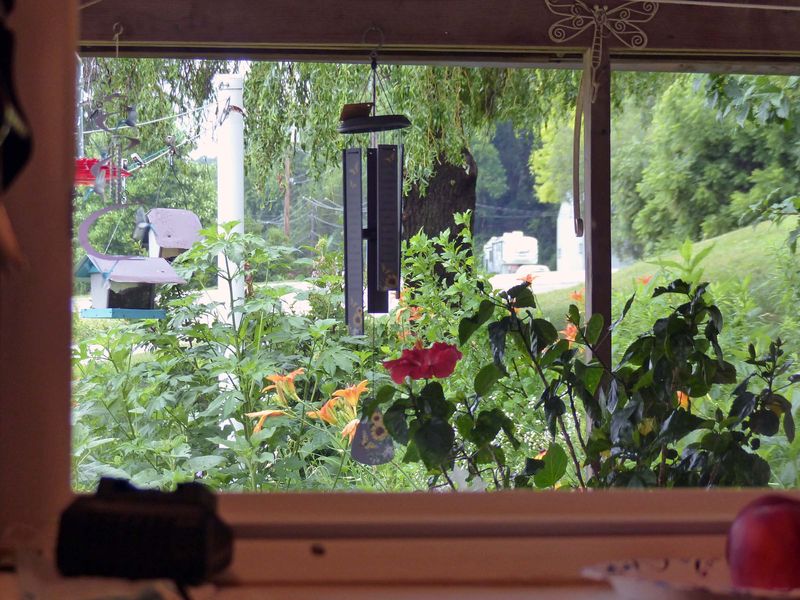 1 Jul My view from the kitchen table
