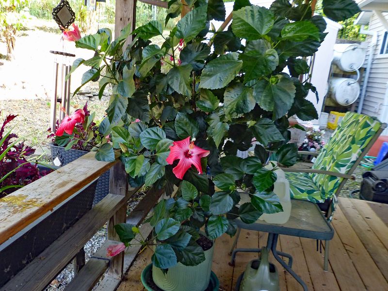 21 Sep Two old, two new