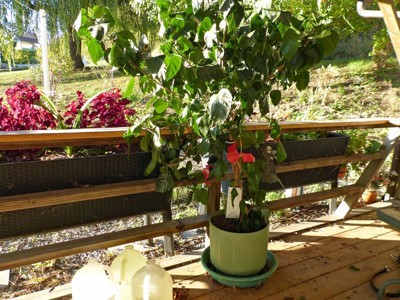 23 Oct Throwback Thursday