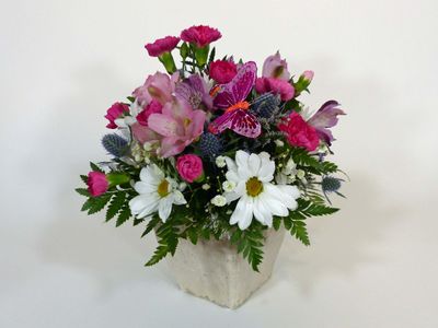 13 Jan Friday Flowers
