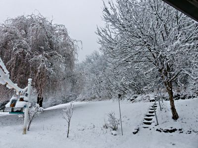 19 Jan From the deck of 5