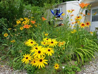 11 Jul Shed garden