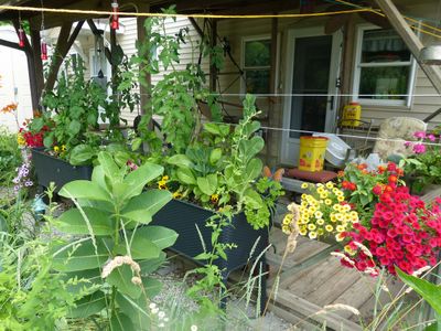 10 Jul Deck garden