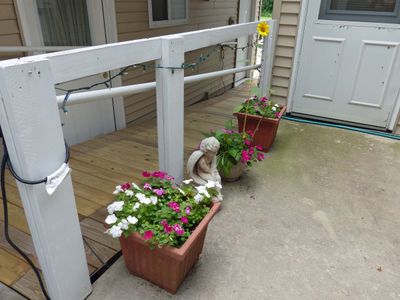 1 Aug Patio flowers