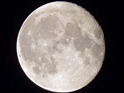 6 Aug Moon, un-grafted