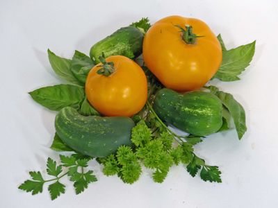 13 Aug First tomatoes and cukes off the vine