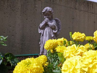 12 Sep Marigolds and an Angel