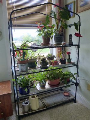 4 Oct Plant stand