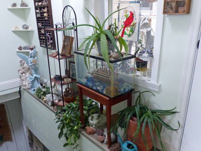 10 Oct A wall of plants