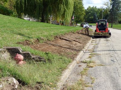 8 Oct Wildflower garden preparation