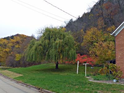 30 Oct The dreaded sumac