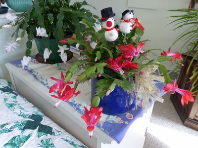 25 Nov Christmas in Cassville