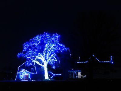 12 Dec Feeling blue in Dickeyville