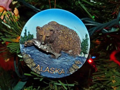 17 Dec Went to Alaska