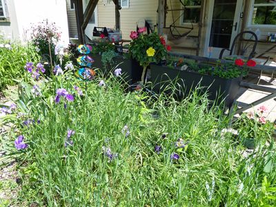 25 May Deck garden