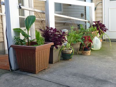 11 Jun Patio plastic pottery