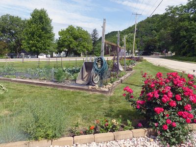 16 Jun Veggie garden near us