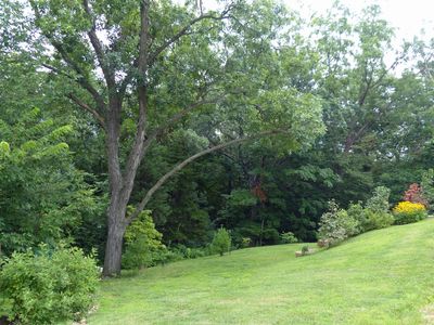 Cassville Garden Club