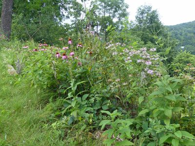 Cassville Garden Club 