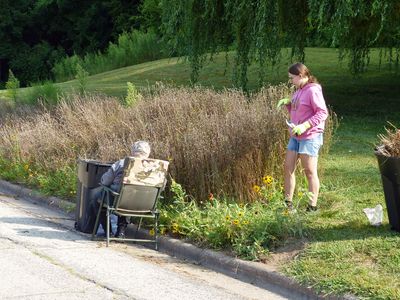 21 Aug Collecting seeds plus