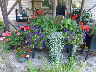 27 Aug Deck flower box bluff side