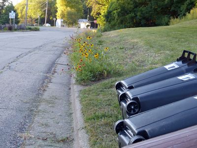4 Sep Wild flower garden cleaned up