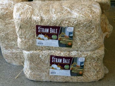 16 Sep What the hay?