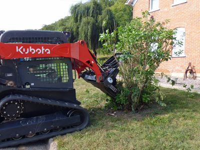 Lilac bush removal