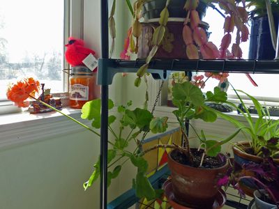 16 Oct Looking for the sun