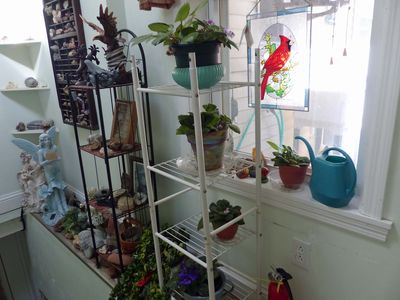 17 Oct Violet shelves