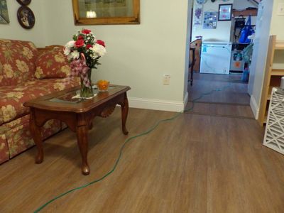 13 Dec Friday flowers and floors