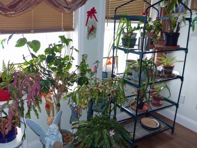 2 Jan Sunroom - Left side