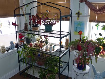 3 Jan Sunroom - Right side