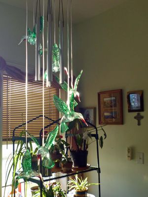 7 Jan A herd of Hummingbirds!