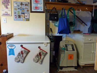 29 Jan Two oxygen concentrators & a bottle