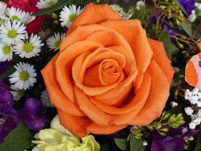 5 Feb A rose by any other name