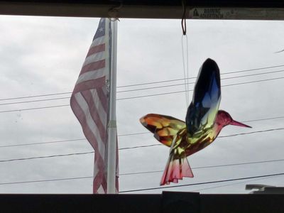 8 Mar Hummingbird and flag