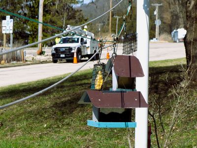 27 Mar empty feeders